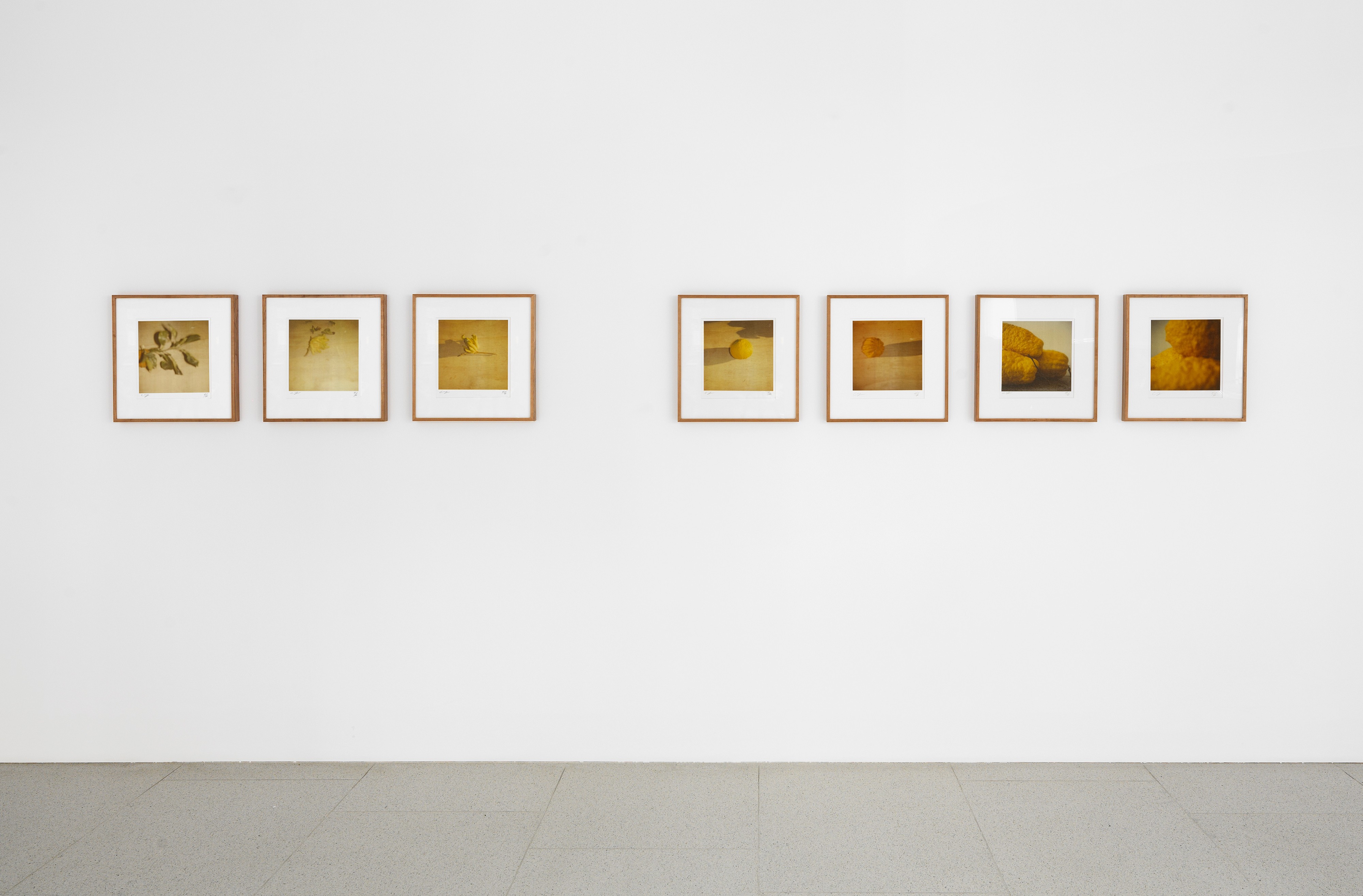 Cy Twombly: Photographs | Exhibitions | News | Cy Twombly Foundation