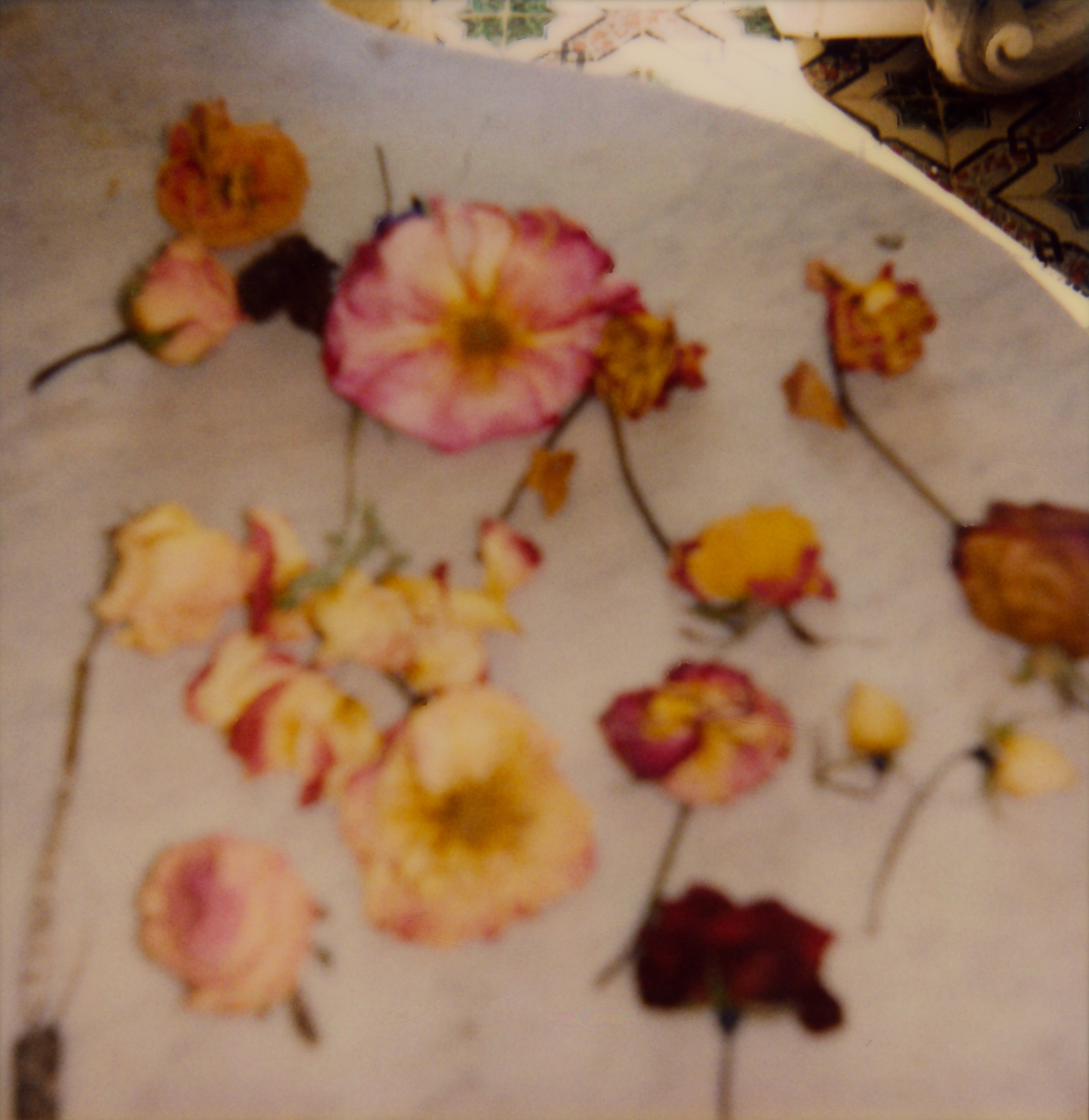 Cy Twombly Flowers Ⅱ ポスター (額装済) bd5c851ec4327064b4691d5faff511