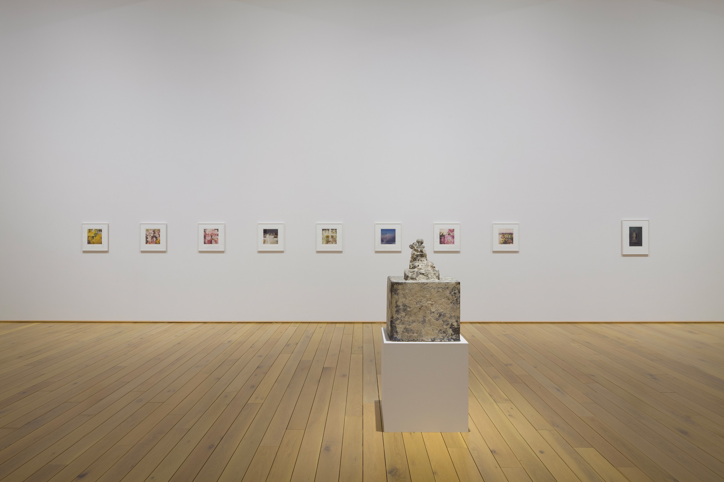 アート・デザイン・音楽 Cy Twombly : Lyrical Variations Cy Twombly Photographs: Lyrical Variations | Exhibitions