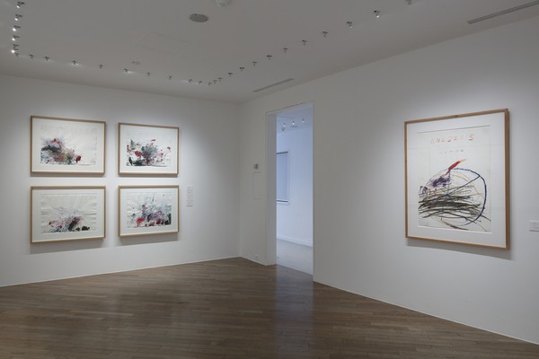 アート・デザイン・音楽 Cy Twombly/Fifty Years of Works on Paper Cy Twombly: Fifty Years Of Works On Paper.: Twombly, Cy