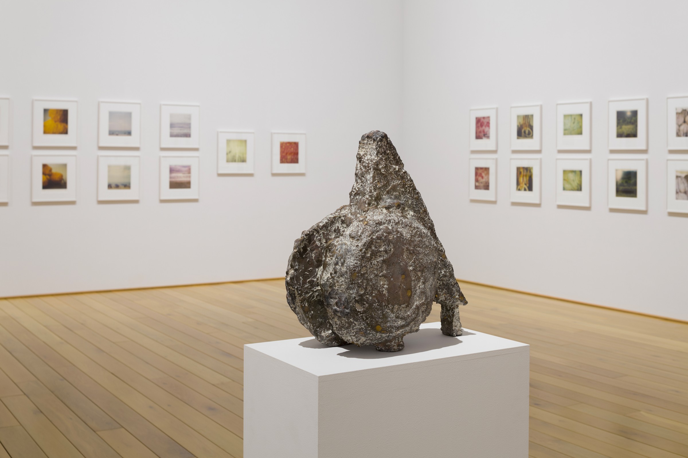 アート・デザイン・音楽 Cy Twombly : Lyrical Variations Cy Twombly Photographs: Lyrical Variations - Cy TWOMBLY