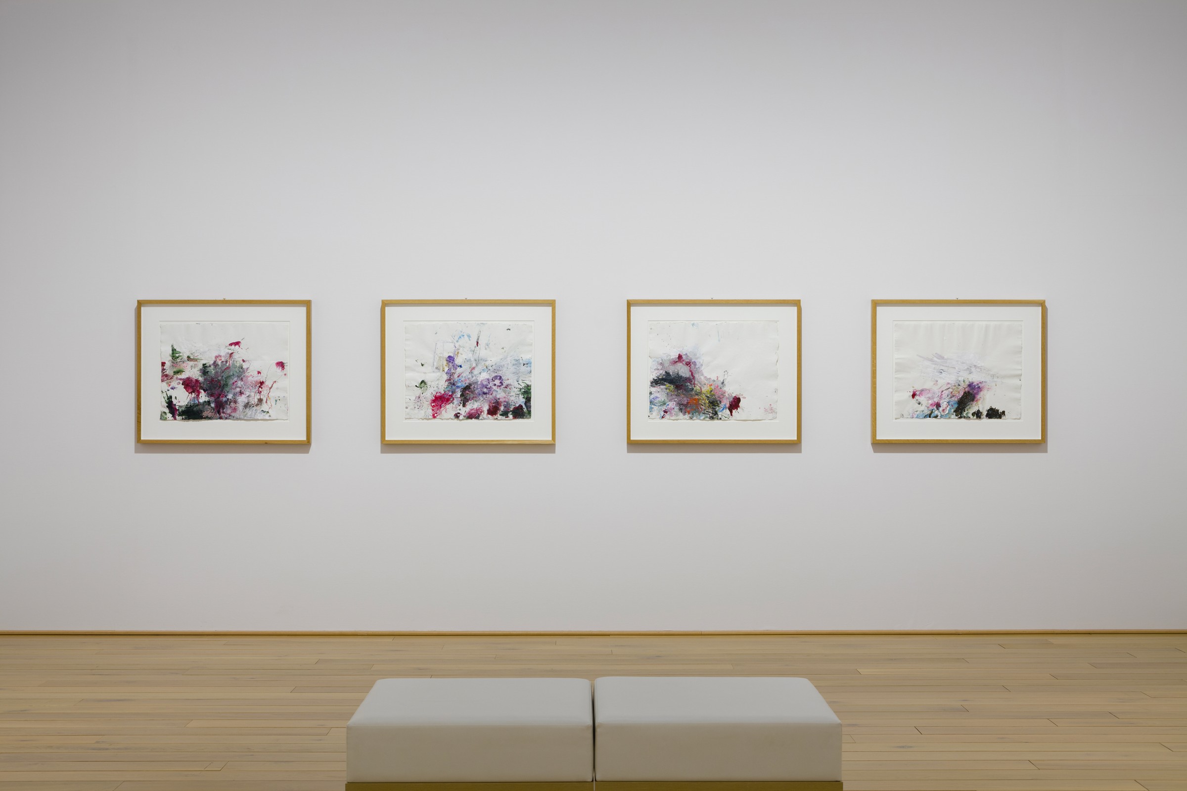 Cy Twombly Photographs: Lyrical Variations | Exhibitions
