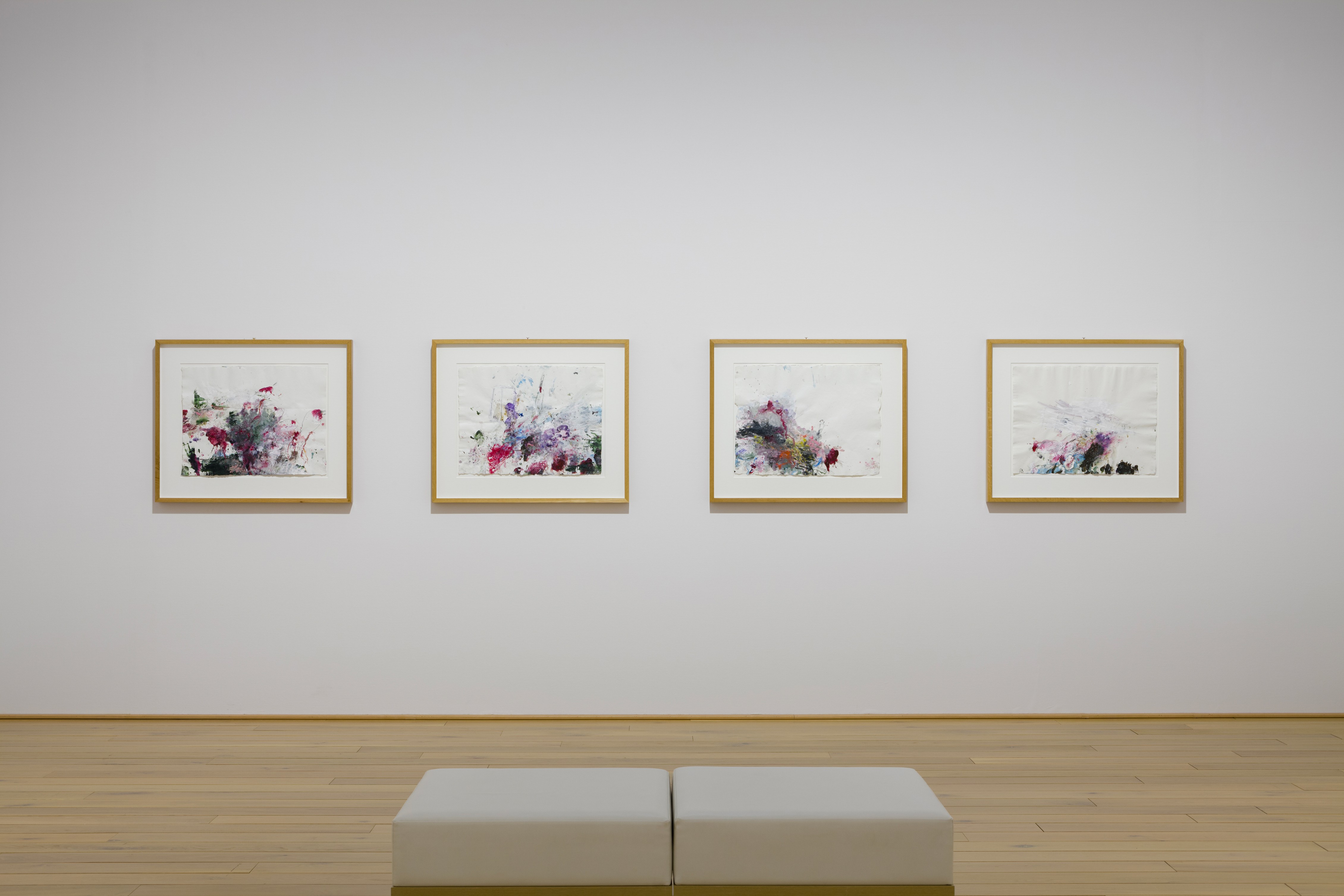 アート・デザイン・音楽 Cy Twombly : Lyrical Variations Cy Twombly - Photographs Lyrical Variations (English and